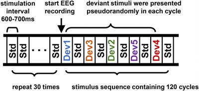 Characteristics of different Mandarin pronunciation element perception: evidence based on a multifeature paradigm for recording MMN and P3a components of phonemic changes in speech sounds